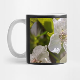 Cherry Blossoms Mug